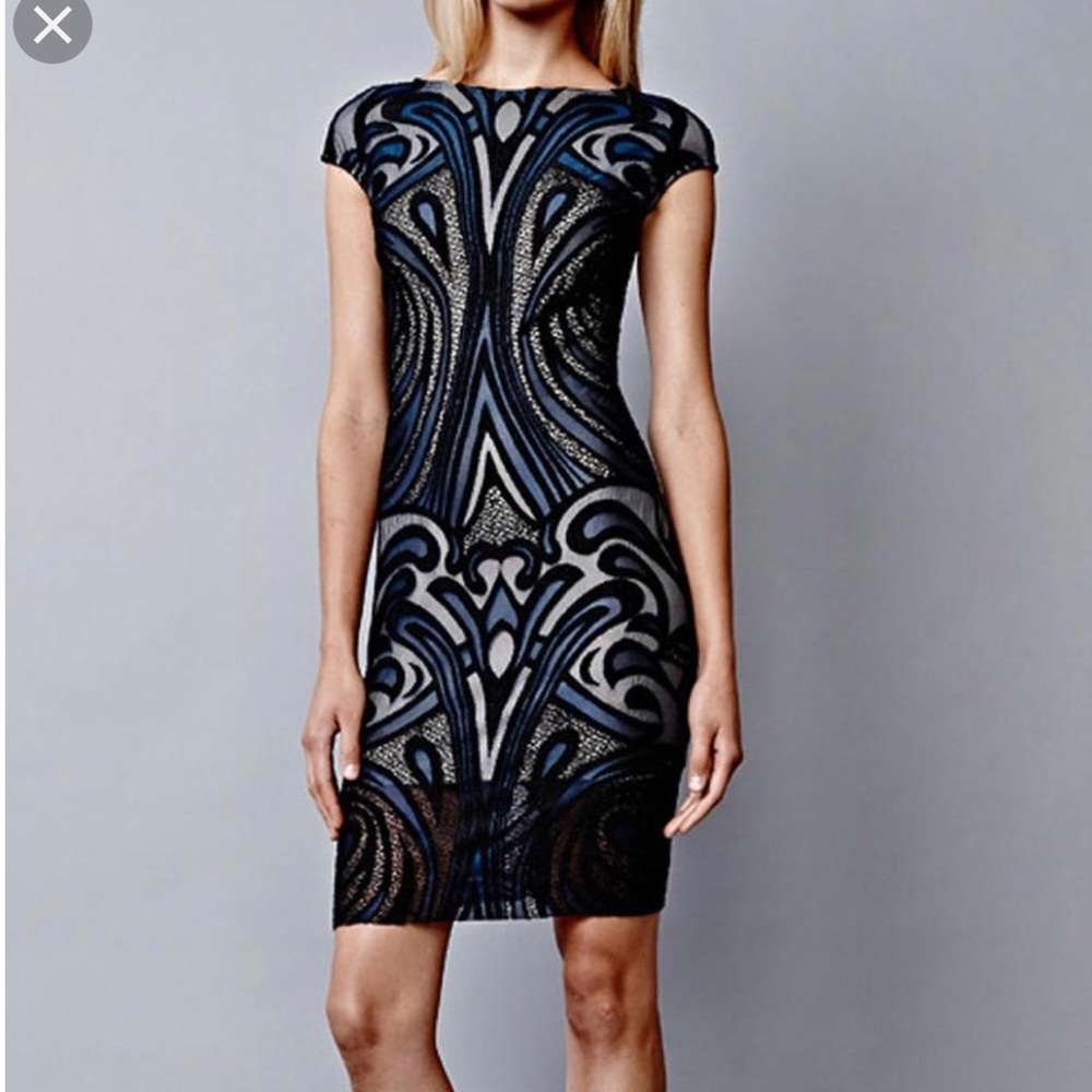 Placement Stretch Lace Dress